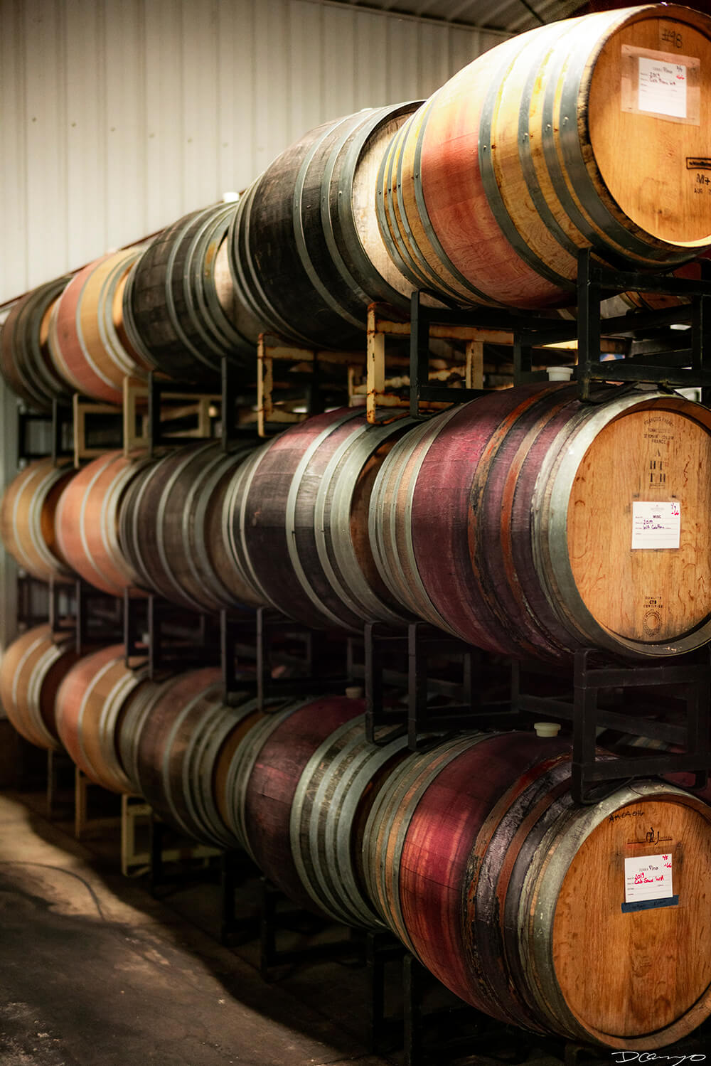 Photos with Communique Wines in McMinville, Oregon, in the Fall of 2020.